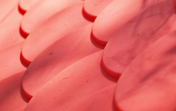 Minshull Vernon plastic roof costs